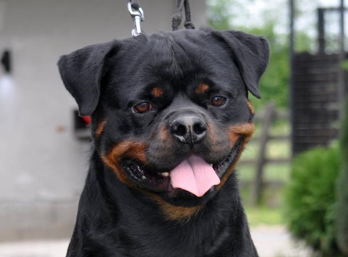 Helga Von Der Bahnbrucke