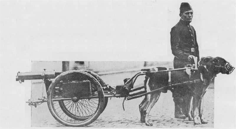 Early History of Rottweilers